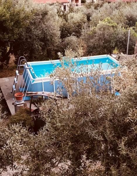 Serranello Azienda Agricola Daire Bono  Dış mekan fotoğraf