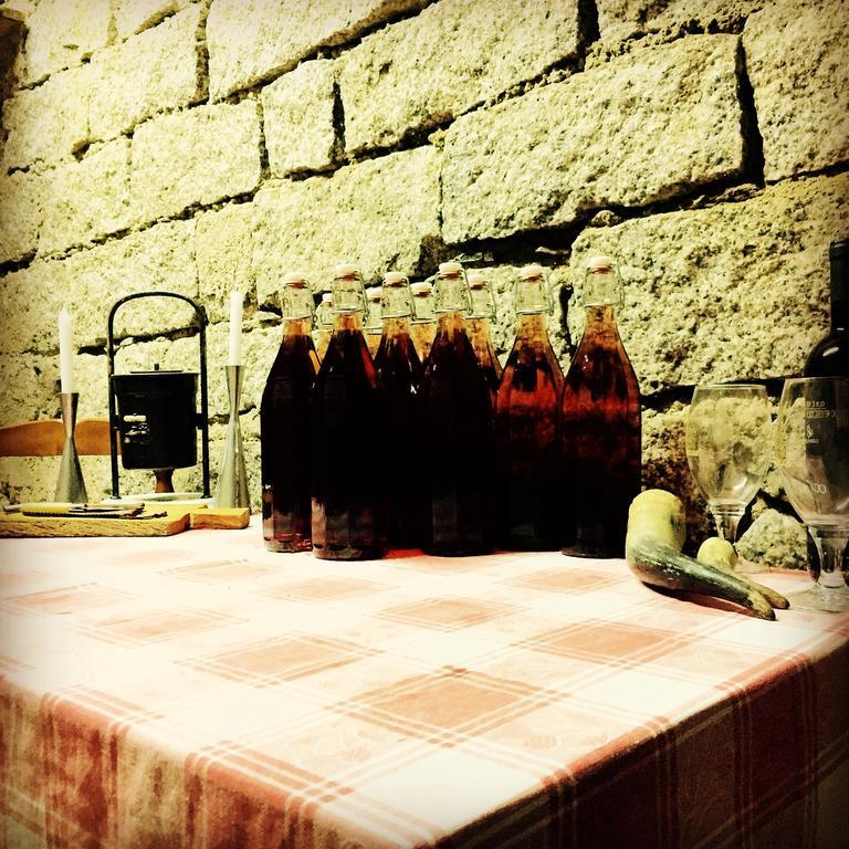 Serranello Azienda Agricola Daire Bono  Dış mekan fotoğraf