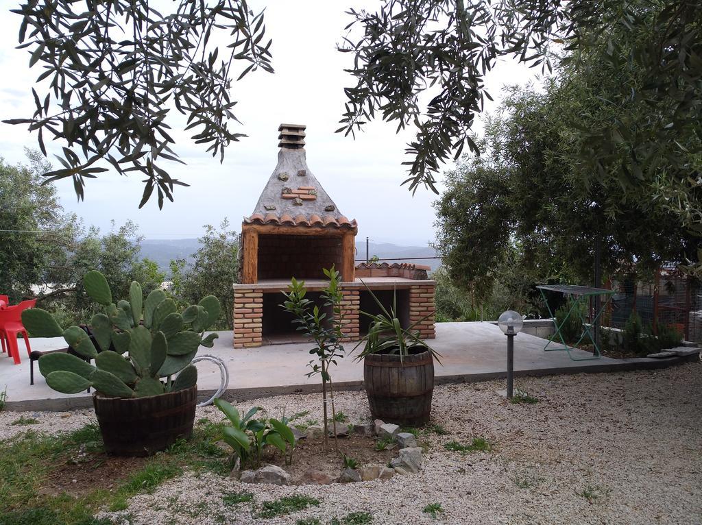 Serranello Azienda Agricola Daire Bono  Dış mekan fotoğraf